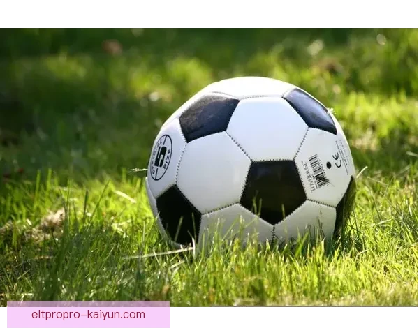 滕哈赫足球影响力持续提升，战术创新引领球队发展趋势